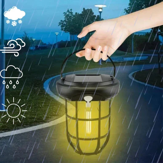 Solar Motion Sensor Light T88