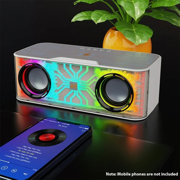 Colorful Wireless Karaoke Speaker