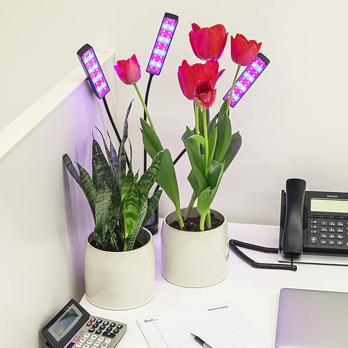 Luminous Plant Growth Light
