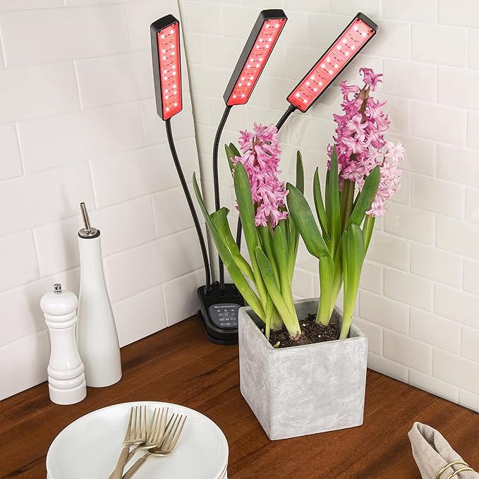Luminous Plant Growth Light