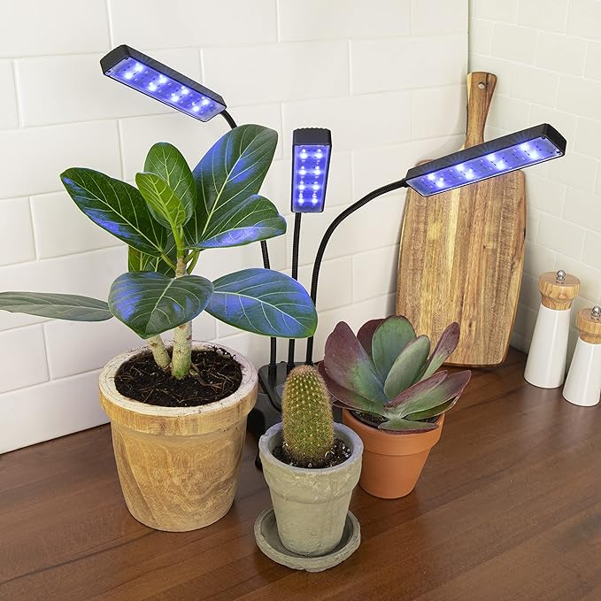 Luminous Plant Growth Light